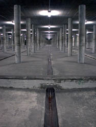 Regenr�ckhaltebecken Hirschgarten (Tag der offenen T�r)